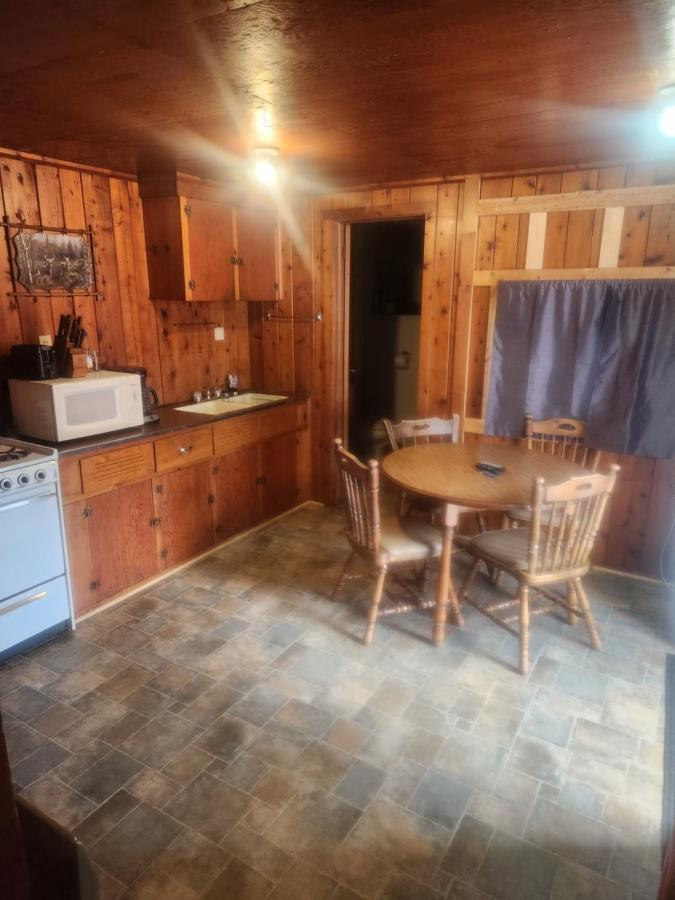 Cabin 2 Manistique Bagian luar foto